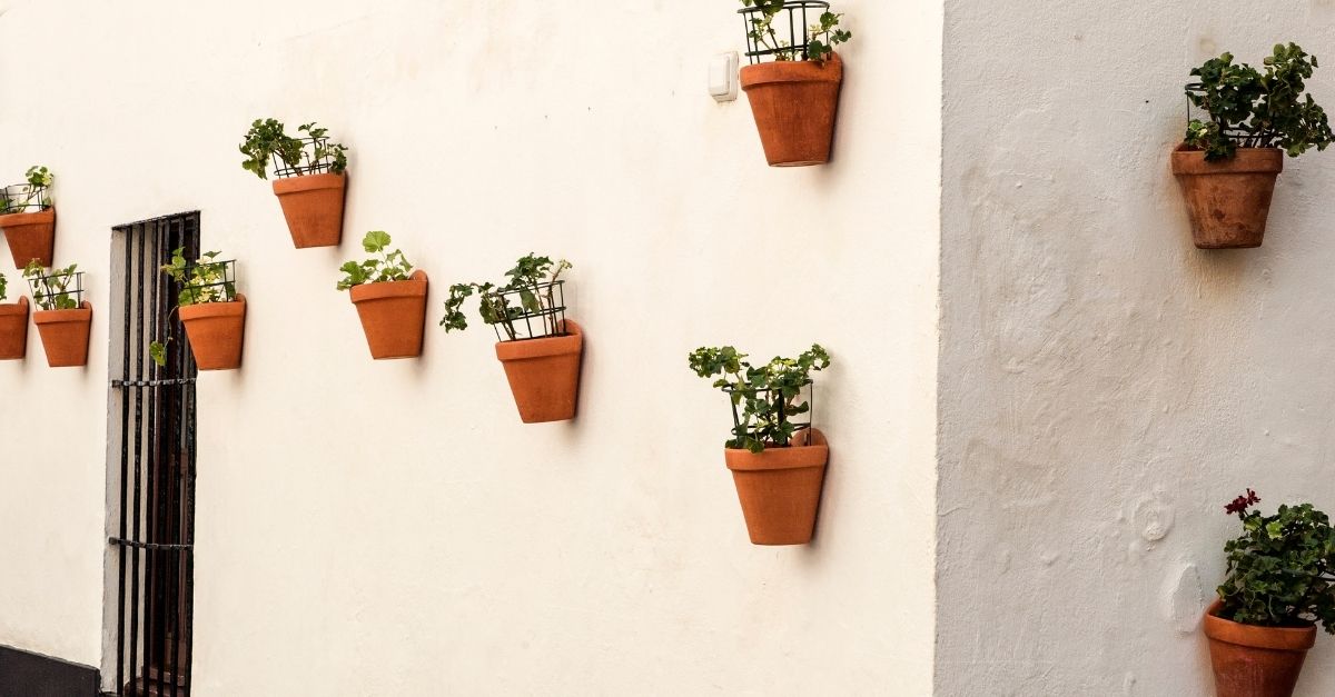 White wall with planters on it