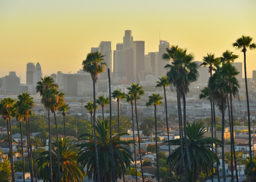 Palm trees in the foreground in front of houses and tall buildings in the background.