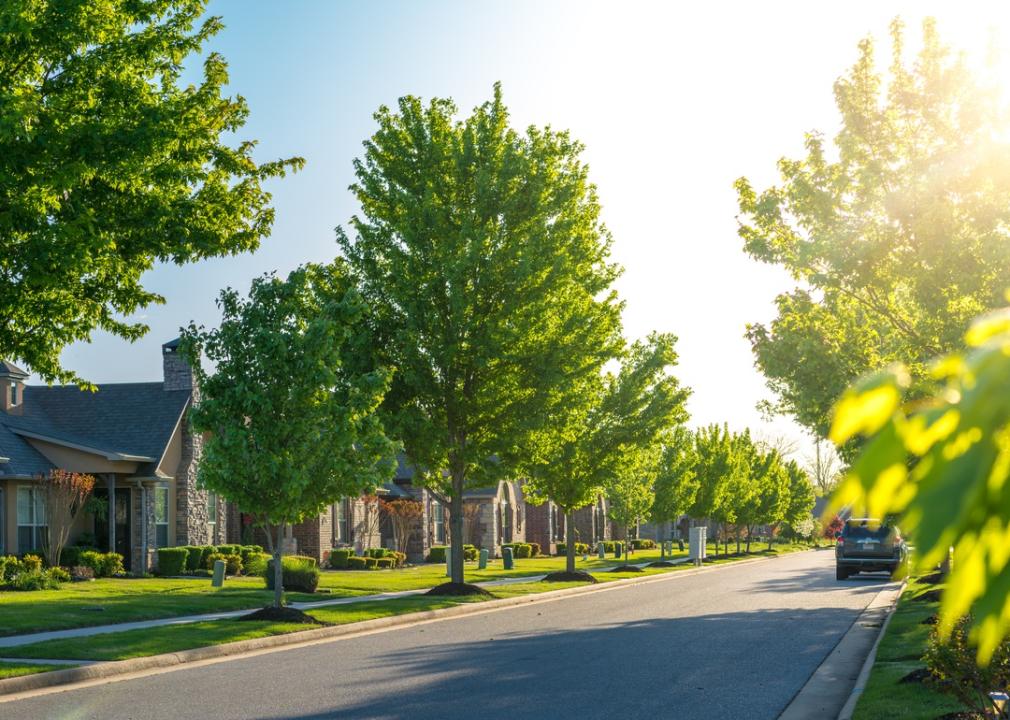 Sunny residential street.